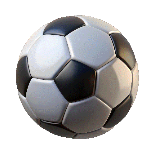 Sport icon